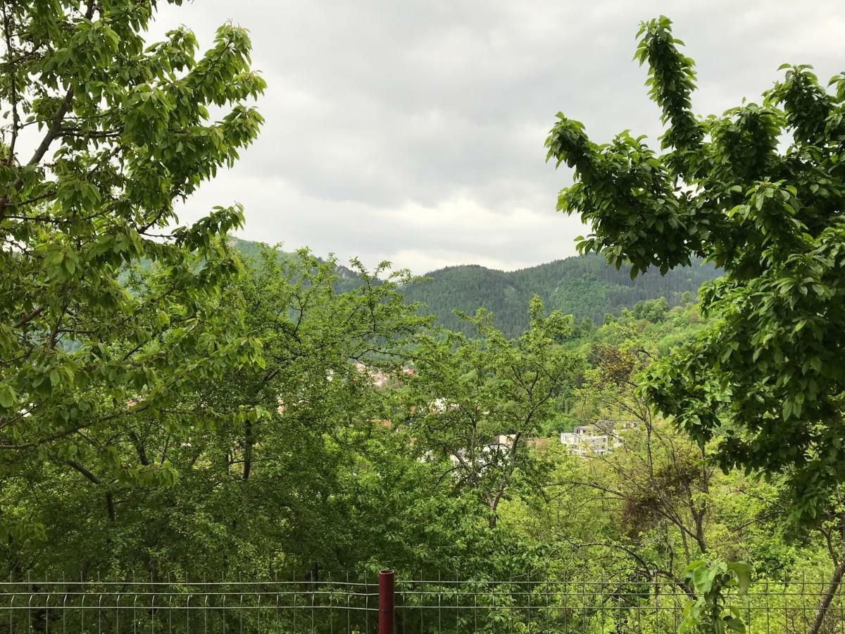 Calea Poienii Penthouse Apartman Brassó Kültér fotó